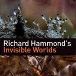 T058理查德·哈蒙德：看不见的世界 2010 评分9.1