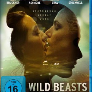 T068坏女孩 BREAKING THE GIRL (2013)