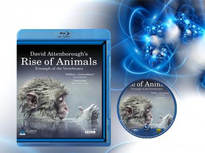 T232动物的崛起之哺乳动物的胜利 2013 BBC纪录片