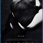 T133黑鲸/黑鲸鱼/黑鱼 BLACKFISH(2013)