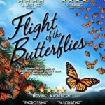 H453 BD50帝王蝶的迁徙 2012 杜比全景声 本片全程采用IMAX摄像机拍摄 评分8.6