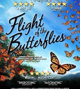 H453 BD50帝王蝶的迁徙 2012 杜比全景声 本片全程采用IMAX摄像机拍摄 评分8.6