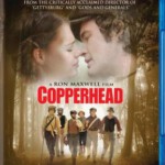 W162内战之痛 (2013)COPPERHEAD