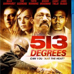 C003惊天513度 513 DEGREES (2013)