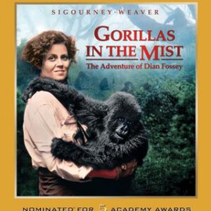 T197雾锁危情 迷雾中的大猩 入圍五項奧斯卡大獎