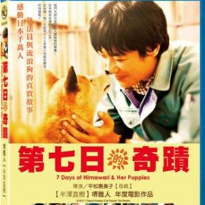 C086向日葵与幼犬的7天 2014爱心流浪动物感动社会人性