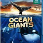 C104海洋巨人 2012最新BBC记录片 影评高达9.3