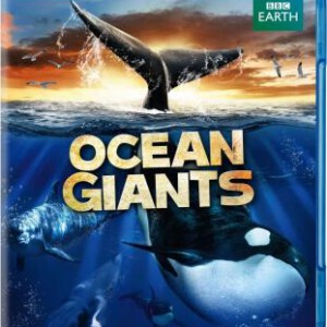 C104海洋巨人 2012最新BBC记录片 影评高达9.3