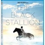 C142黑神驹/灵驹（港） 电影精品的美丽佳作 第52届奥斯卡金像奖