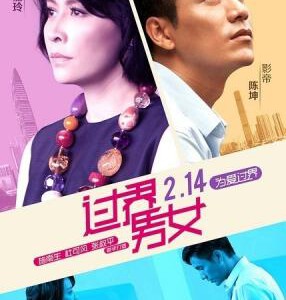 C162过界男女 2014由陈坤和刘嘉玲领衔主演戛纳国际电影节