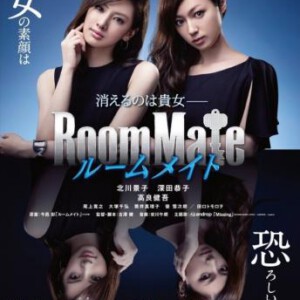 C164室友/同屋:唤命日记 深田恭子 北川景子