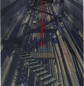 C207新世纪福音战士新剧场版：序