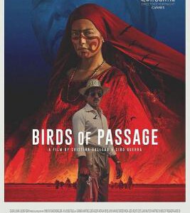 U557候鸟 2018 评分7.0