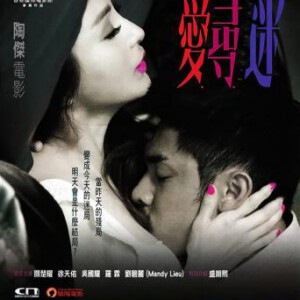 T208爱寻迷 2014最新港产片