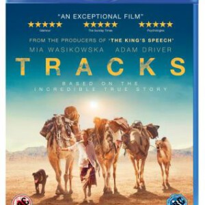 F230沙漠驼影/轨迹 2014年威尼斯金狮奖提名