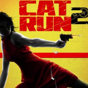 B107性感女特工2 2014动作力作