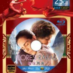 B132握住月光 2014