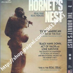 B138蜂巢 2014 讲诉美军打击塔利班的记录片