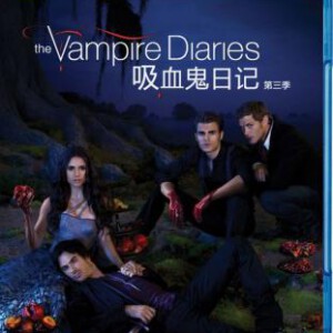 X100-101吸血鬼日记 第3季 2碟