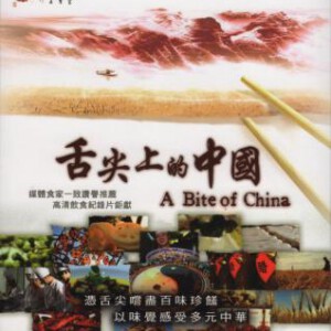 B017-018舌尖上的中国 第2季 2碟 高清版