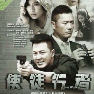 D065-067使徒行者 2014 3碟 连续剧三碟装共31集