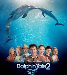 D112海豚的故事2 一只海豚的传说2 DOLPHIN TALE 2(2014)