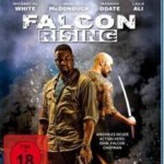 D099猎鹰突起 FALCON RISING(2014)