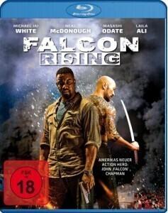D099猎鹰突起 FALCON RISING(2014)