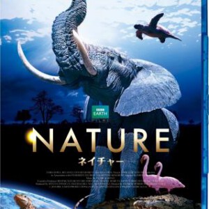 D142魔法王国 2014最新纪录片 推荐