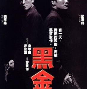 D192《黑金》刘德华 梁家辉联袂主演！