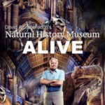 D239爱丁保罗夫爷爷的博物馆奇妙夜