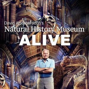 D239爱丁保罗夫爷爷的博物馆奇妙夜