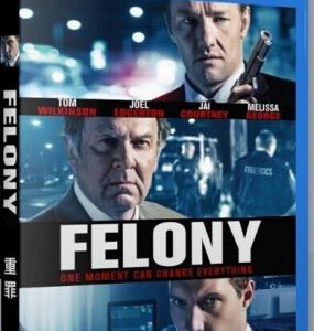 E052重罪/罪不可赦 FELONY(2013)