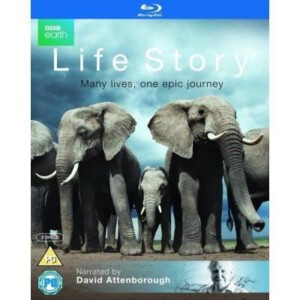 R005-006   BBC 生命礼赞 2碟装 LIFE STORY (2014)