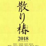 V343山茶花飘零/飘落的山茶花/椿花散落 2018 评分7.1