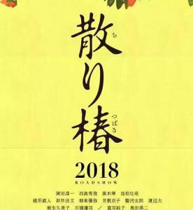 V343山茶花飘零/飘落的山茶花/椿花散落 2018 评分7.1