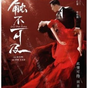 R118高清版 触不可及 (2014) 国产电影