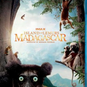R129狐猴之岛：马达加斯加 3D+2D ISLAND OF LEMURS: MADAGASCAR(2014)