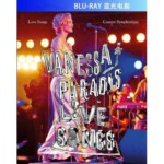 R159凡妮莎·帕拉迪丝 2014最新演唱会