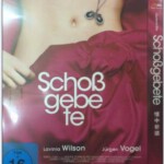 Q002怀中祈祷 讲述钟情于性冒险的年轻女人试图成为完美的妻子、母亲和情人