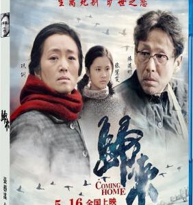 B002归来(2014)Coming Home