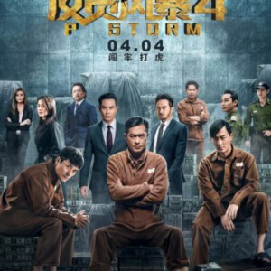 V357反贪风暴4 P Storm(2019)