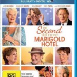 Q148涉外大饭店2/涉外大酒店2 THE SECOND BEST EXOTIC MARIGOLD HOTEL(2015)