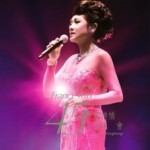 Q212叶丽仪:45年香港情演唱会 OLDIES MEDLEY：YESTERDAY ONCE MORE(2015)