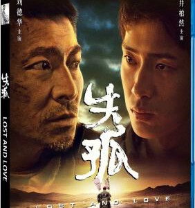 Q049失孤 (2015) LOST AND LOVE 爱无尽，心永念