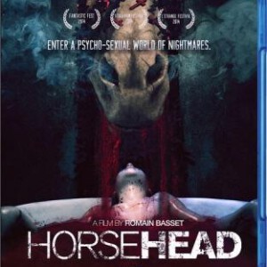 U066马头 HORSEHEAD(2014)