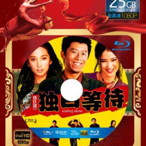 U120独自等待 第25届中国电影金鸡奖 最佳故事片