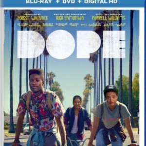 Y042酷毙了/嗑嗨了 DOPE (2015)
