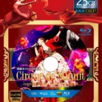 S011滨崎步2015演唱会 2015