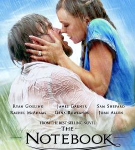 S108恋恋笔记本/深情日记/写我情真/手札情缘/忘了·忘不了 THE NOTEBOOK 2004